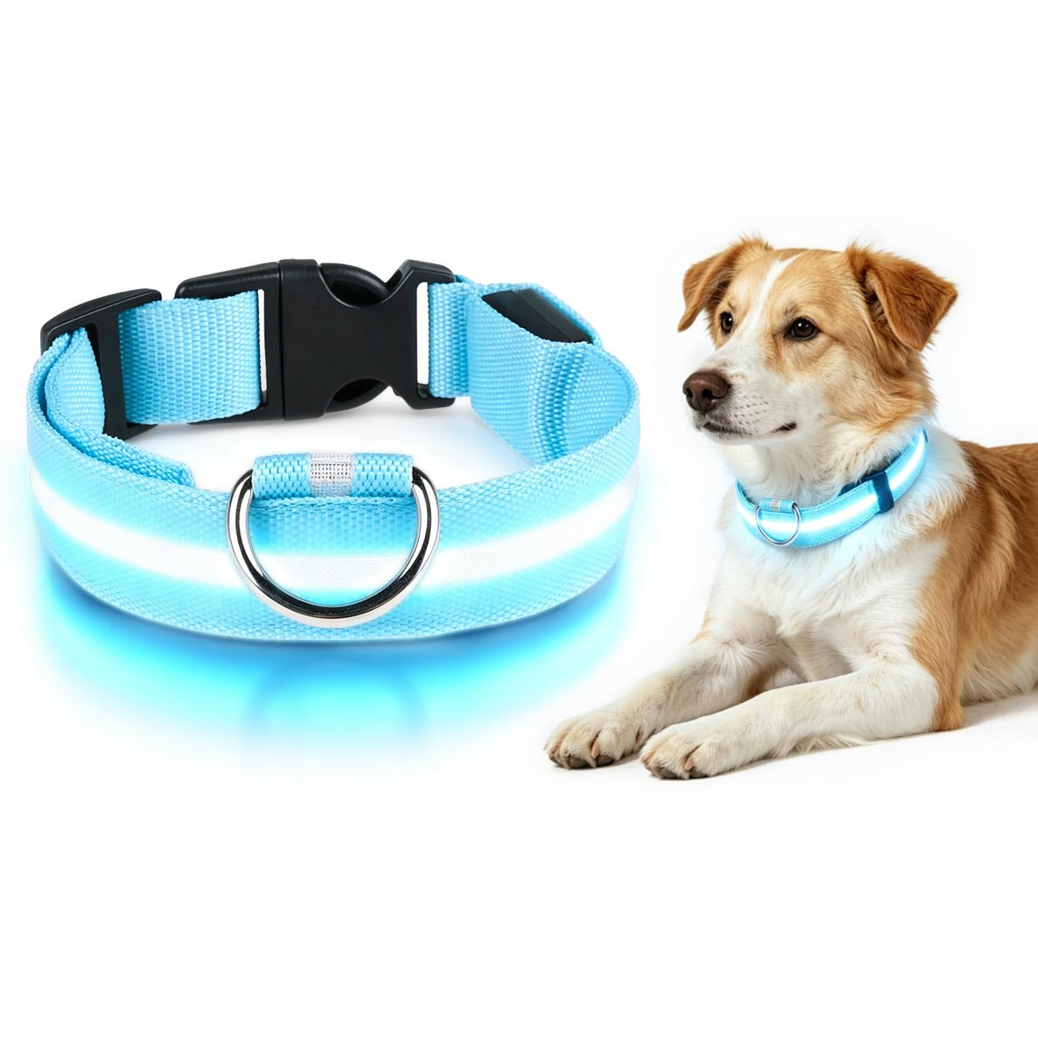 LED Dog Collar,USB-Rechargeable Light Up Dog Collar,Light Up Collars for Dogs at Night with Three Lighting Modes,Waterproof and Adjustable Length Dog Collars for Small/Medium Dogs(Blue,M)