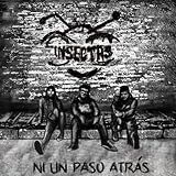 Insectas