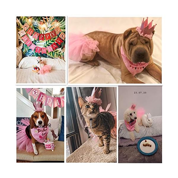 Adoggygo dog birthday bandana girl - birthday party supplies - pink tutu skirt crown hat scarf happy birthday banner dog girl birthday outfit for pet puppy cat girl (pink) - image 4