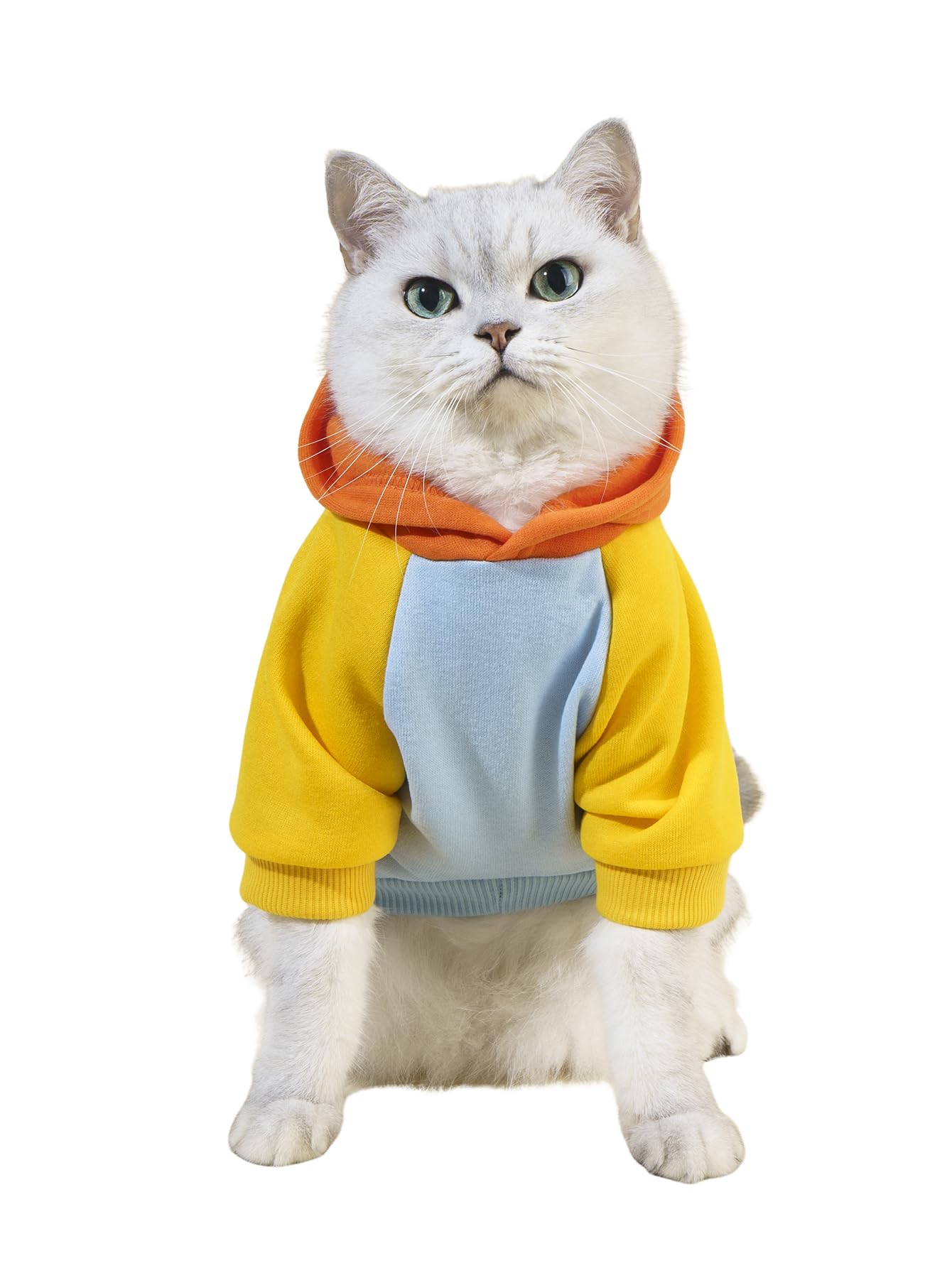 QWINEE Basic Dog Hoodie Sweatshirt Puppy Sweater Warm Cat Costumes Pet Clothes for Chihuahua Puppy Kitten Small Medium Dogs Orange and Blue Large