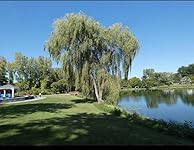 Review Image by DBCooper DBCooper