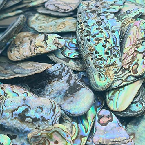 Abalone New Zealand Paua Shell, Natural Polished Tumbled Sea Shell Pieces for Inlay Decoration, Resin Art, Jewelry - Image 2