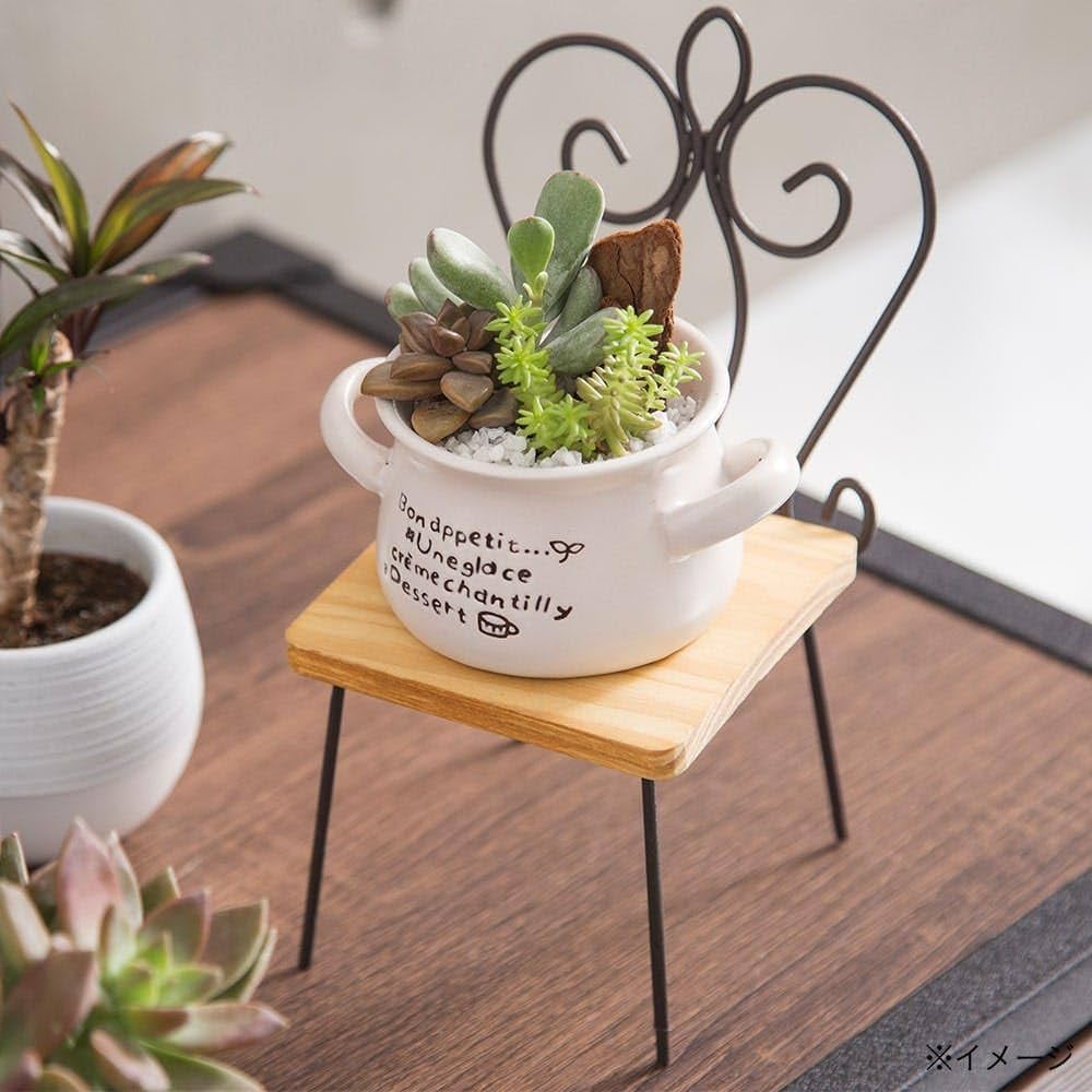 61Ii0rl0jXL._AC_UF1000, 61Ii0rl0jXL._AC_UF1000,