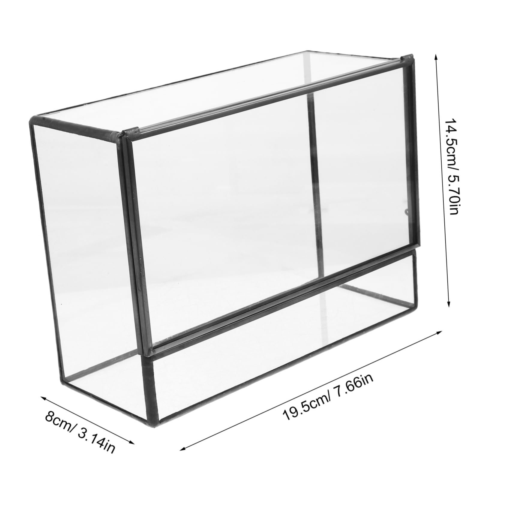 Terrario Fai da Te in Vetro per Piante e Muschio, Mini | Contenitore Paesaggistico Geometrico, Finitura Trasparente Liscia, Uso su Tavolo Pranzo o Piano Cucina