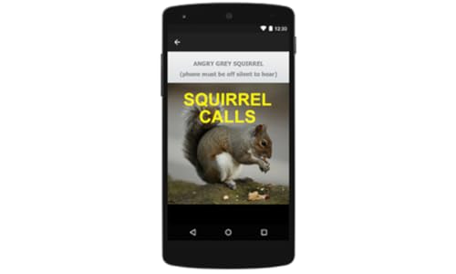 Squirrel Calls & Squirrel Sounds for Squirrel Hunting
