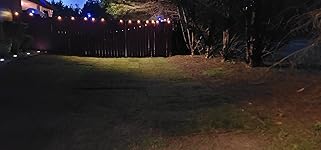 Review Image by Lee Lee GA