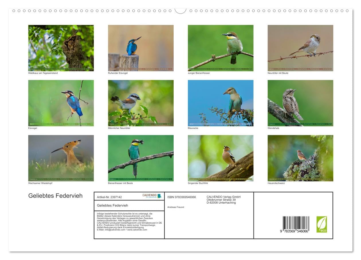 CALVENDO - Geliebtes Federvieh (hochwertiger Premium Wandkalender 2027 DIN A2 quer), Kunstdruck in Hochglanz: Eine Sammlung von Vogel-Fotografien, unterschiedlicher Arten und Familien.