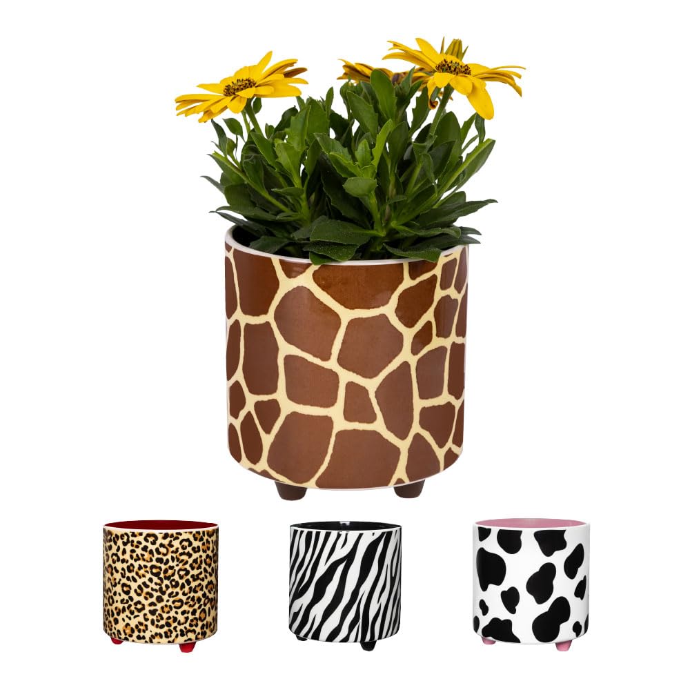 Fisura - Original Giraffe Flower Pot - Indoor Decorative Planter Pot with Legs for Cactus - Printed Ceramic Planter for Flowers and Succulents - 13 x 12.5 cm