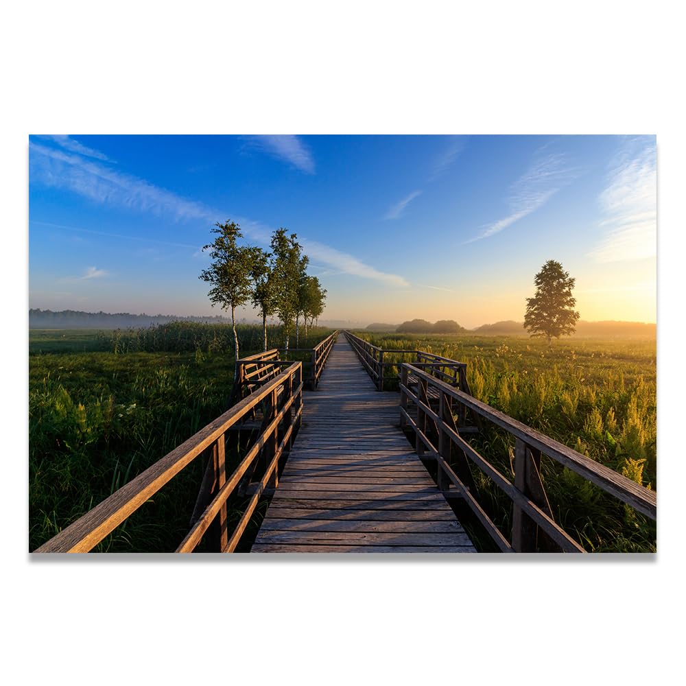 VHdfgTY BoardwalkLarge Mountain Landscape Canvas Wall Art Nature Scenery for Home Decor 30x45cm Unframed