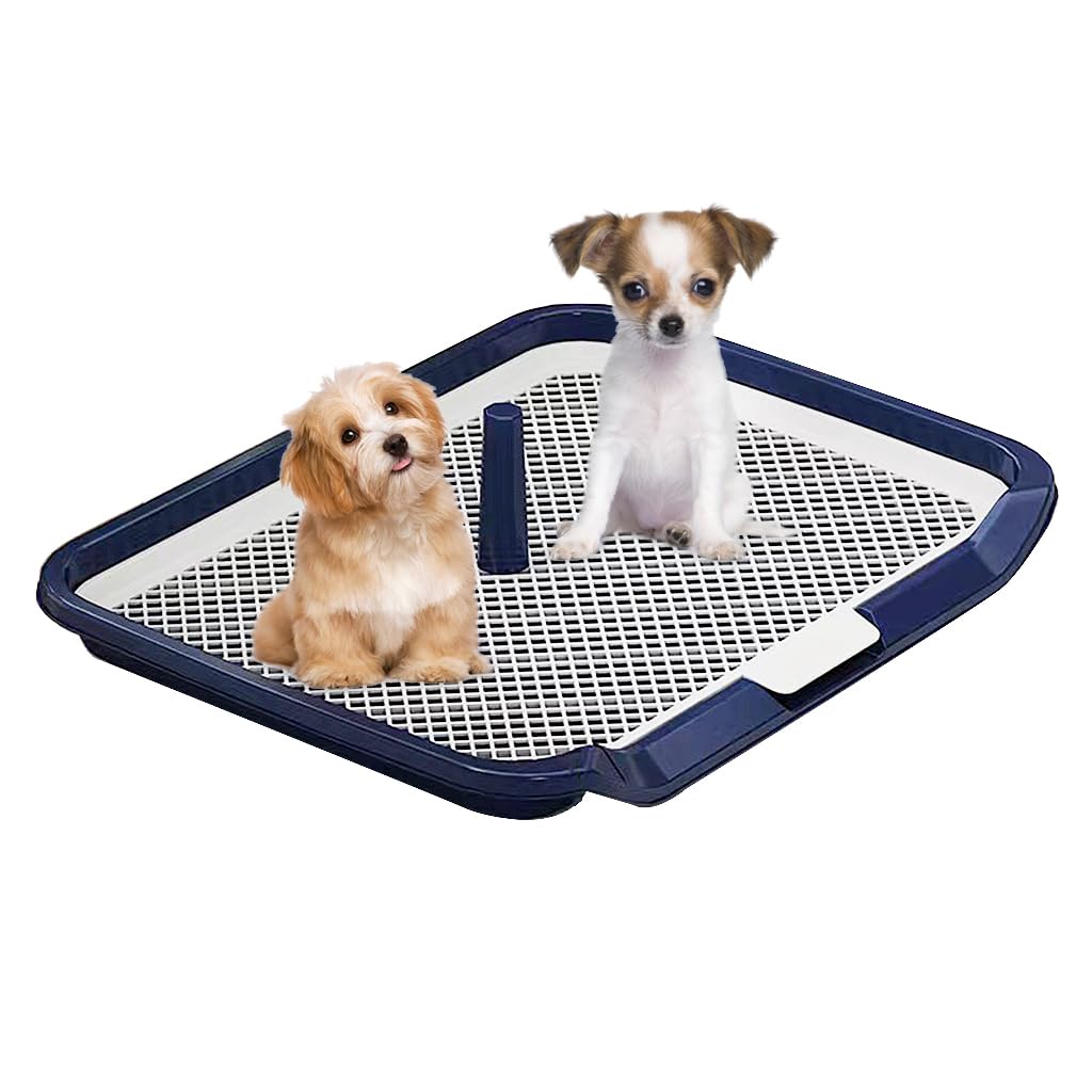 HASTHIP® Dog Toilet, Plastic Dog Poop Tray Puppy Pee Pads for Dogs, Dog Potty Training Toilet Deck for Small Medium Dogs, Drawer Flat Panel & Easy to Clean - 65 x 50CM (B0DDT8DDZ6) Amazon Price History, Amazon Price Tracker