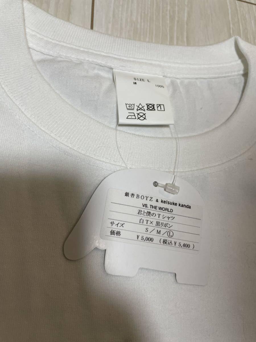 Amazon.co.jp: 銀杏BOYZ×keisuke kanda VS. THE WORLD 君と僕のTシャツ