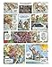 Blacksad: Amarillo