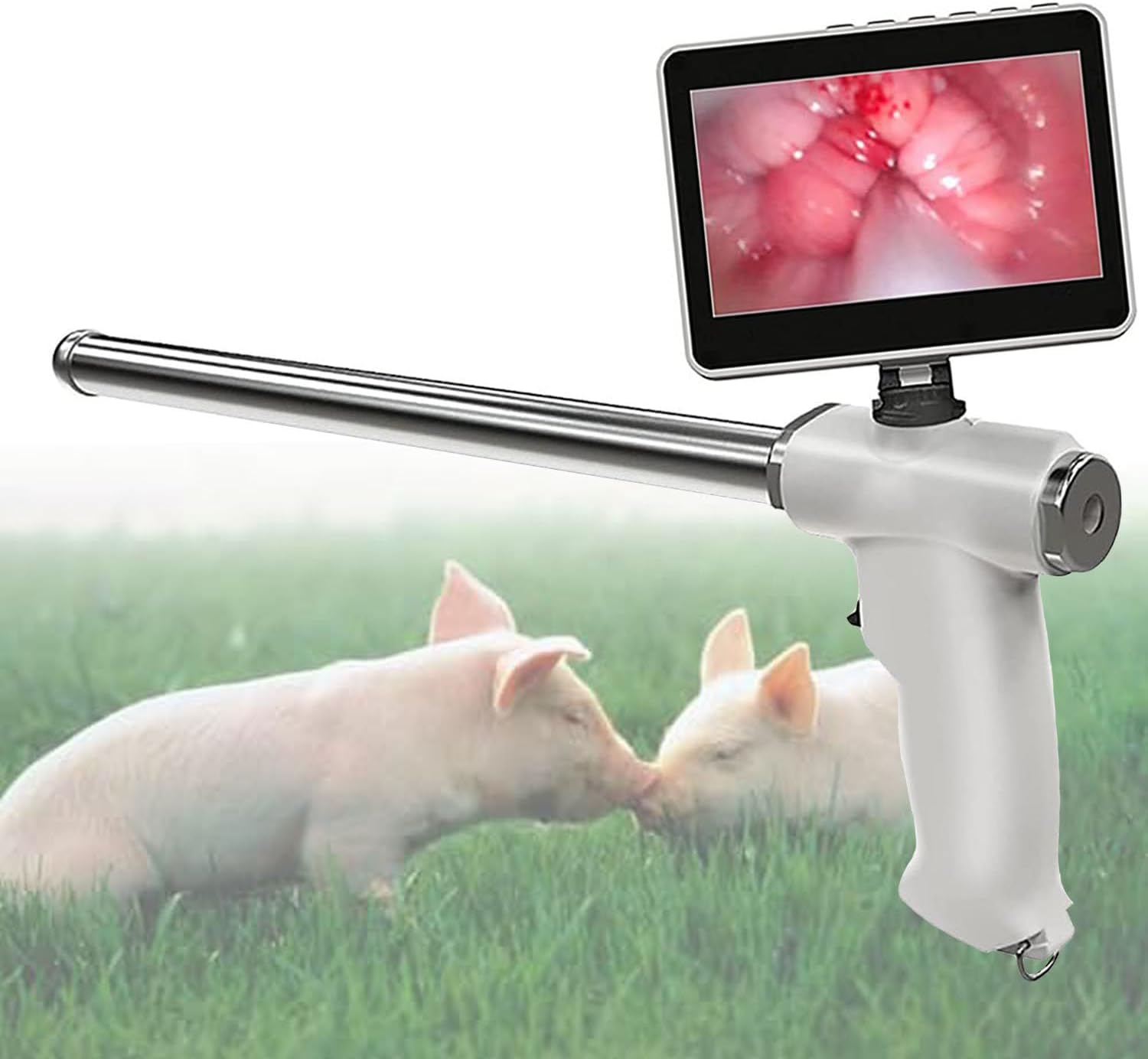Artificial Insemination Kit,Animal Artificial Insemination Gun,Artificial Insemination Tools,for Pig/Dog/Sheep,Visual Endoscope Artificial Device Deferens