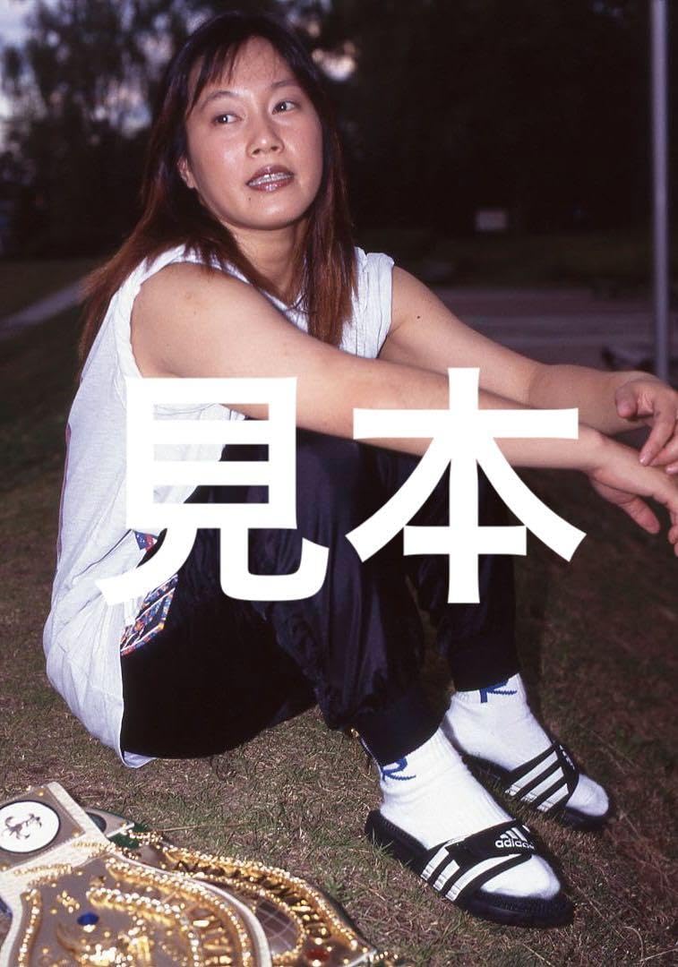 地底戦空バゾルダー☆アンケートハガキのみ☆ファミコンソフトFCソフエル