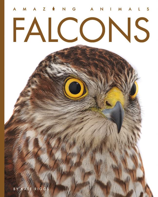 Falcons (Amazing Animals)