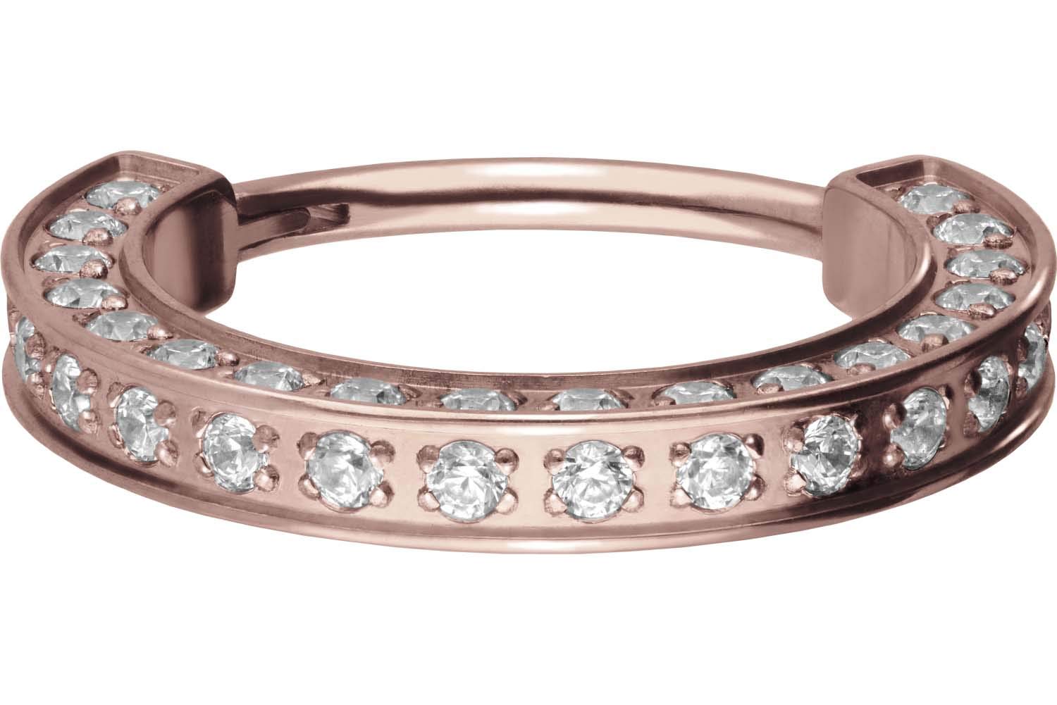 PIERCINGLINE Titan Segmentring Clicker | KRISTALLRAND | Ring Nase Septum Ohr Helix | Farb & Größenauswahl