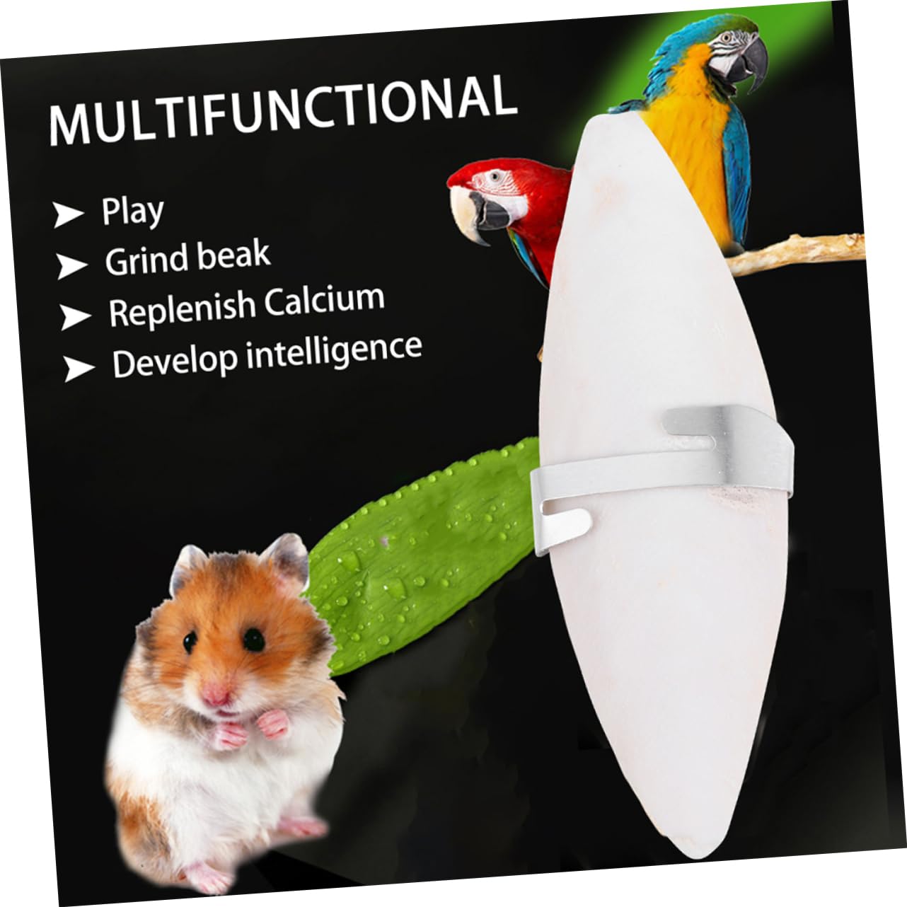 FRCOLOR 36stücke Teiliges Kauspielzeug Für Hamster Molar Und Zahnspielzeug Aus Cuttlefish-Knochen Mit Halterungen Für Kleintiere Für Zahnpflege Und Mentale