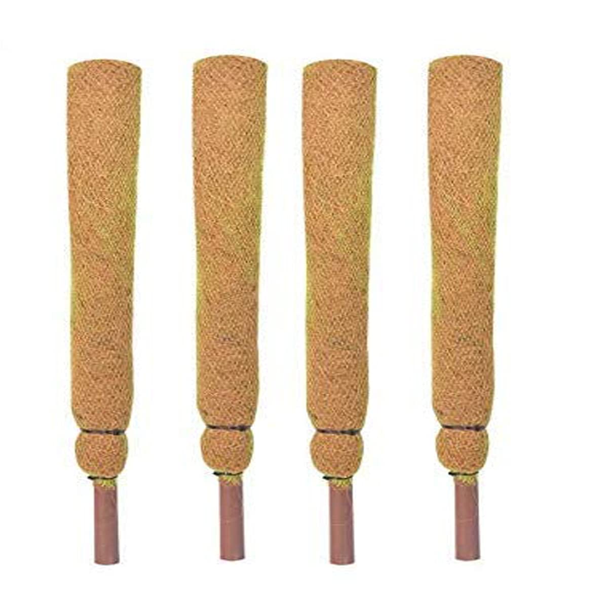COIR GARDEN Coir Moss Stick/Coco Pole for Climbing Money Plants, Indoor and Outdoor Plants, 2.5 ft, 76 cm - Set of 4 (B07RQTLP2V) Amazon Price History, Amazon Price Tracker