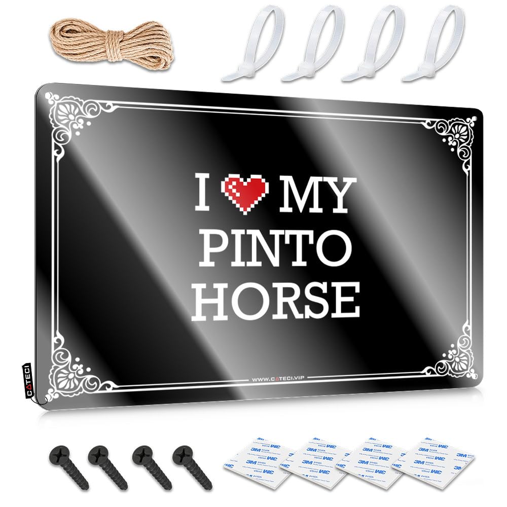 Fzfn Boys Colour Modern Posters, Accessories I Love My Pinto Horse | Farmhouse Ranch Decor(30X40cm)