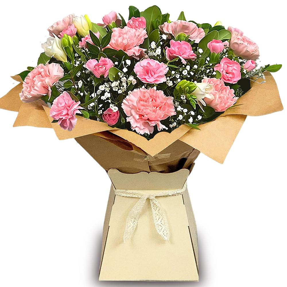 Luscious Pinks Bouquet, Carnations & Freesias Hand Tied Fresh Flowers, Real Flowers Delivered Next Day, Perfect for Birthdays, Thank You Gifts & More