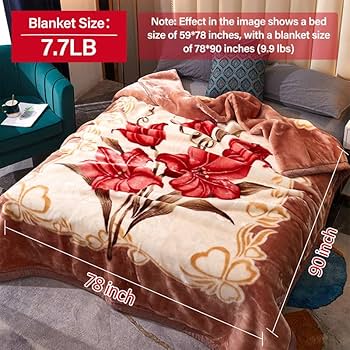 Mink Blankets, MODUSKYE Korean Heavy Plush 7.7 LB 2 Ply