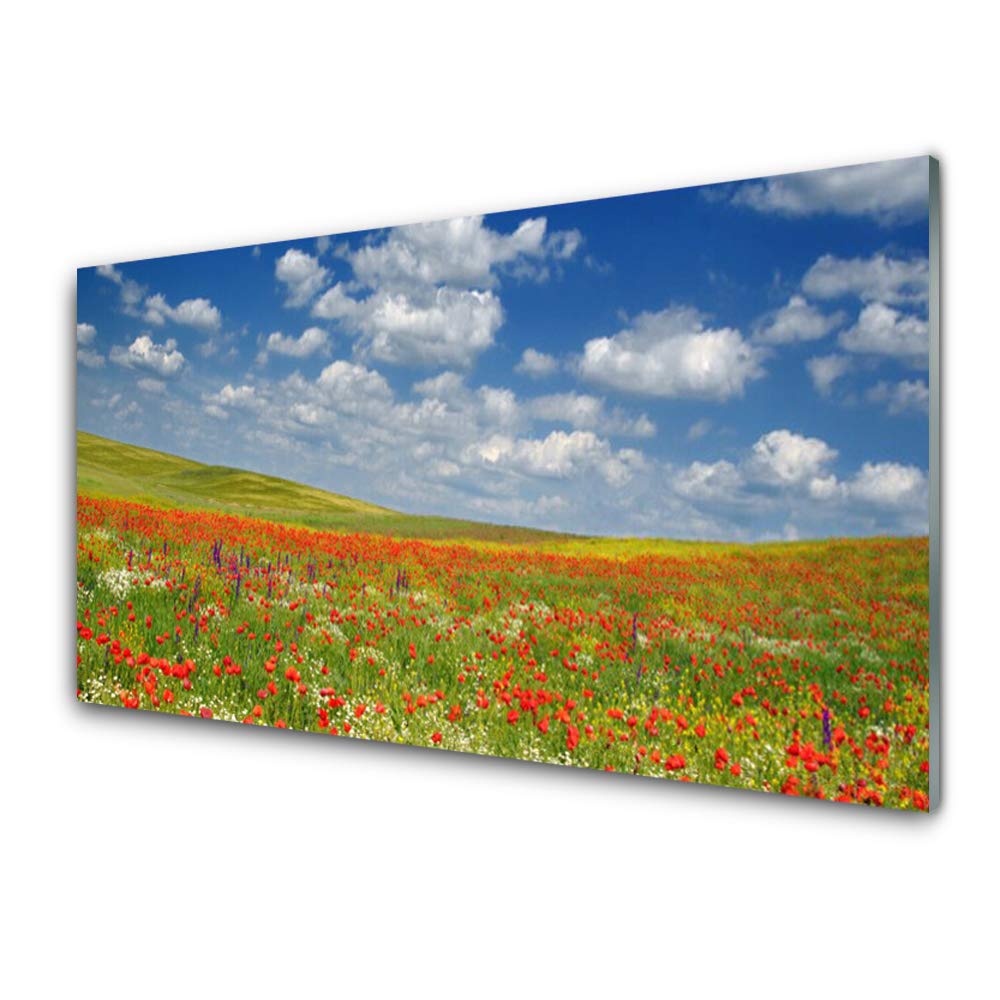 Impression sur verre trempé 100x50cm déco mural moderne fleurs
