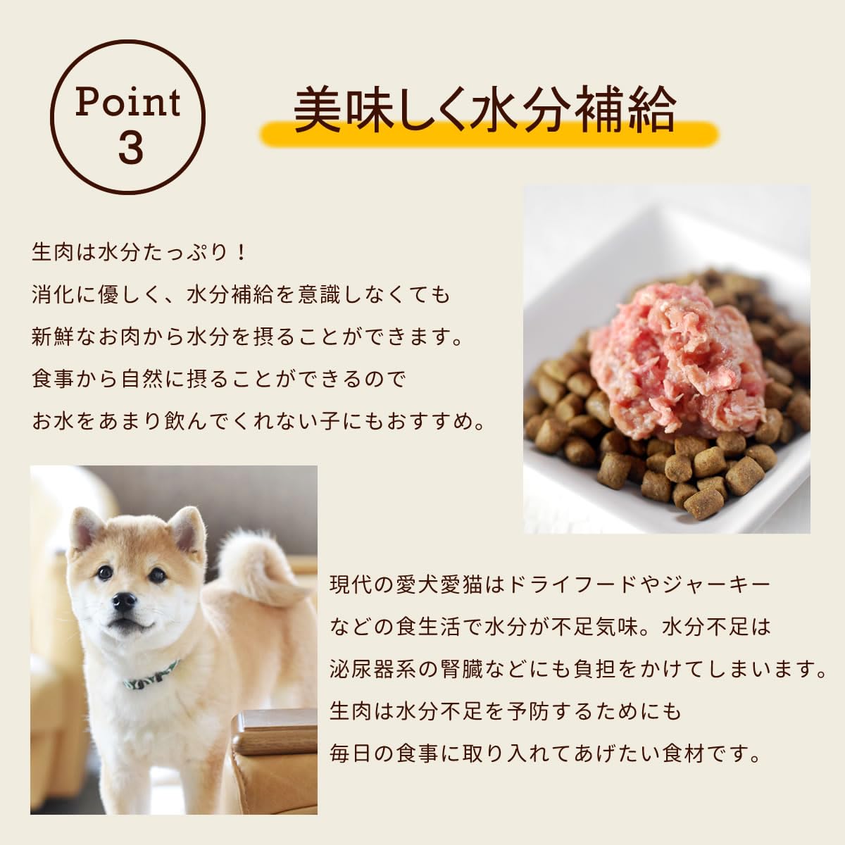 Amazon.co.jp: 帝塚山ハウンドカム 犬 冷凍 ドッグフード 【 腎臓ケア