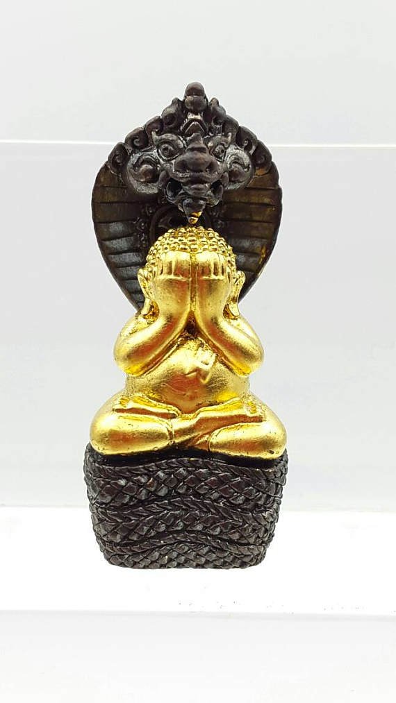 Thai amulet Phra Pidta Nakkarah King of Naga by Lp Khumbu Give protection Metta Maha Niyom, Happines