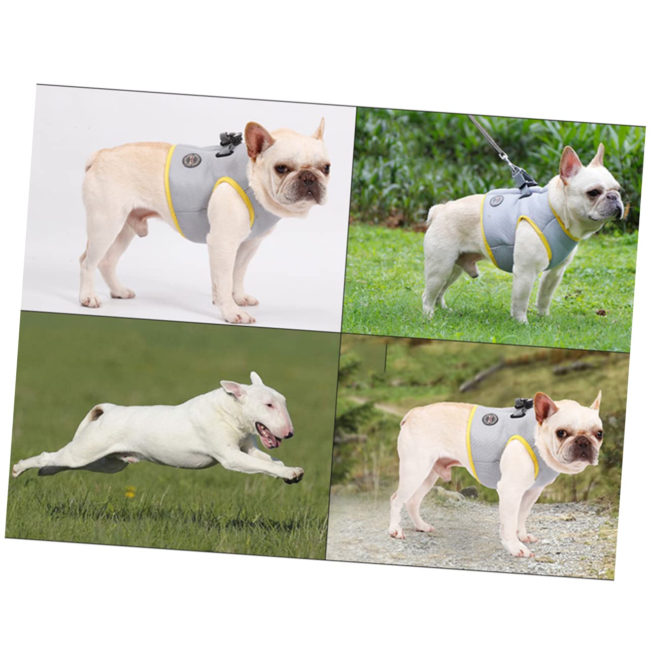 SUPVOX 3pezzi Gilet Refrigerante Per Cani Giacca Traspirante Per Animali Con Design Fresco Perfetta Per Attività All Aria Aperta Taglia s