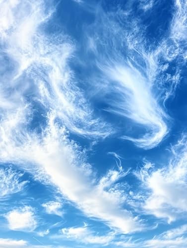 Miniatura 2 de Diymood Kits de pintura de diamantes 5D por números para adultos, pintura de diamante bailarín con diamantes, arte moderno, taladro completo para