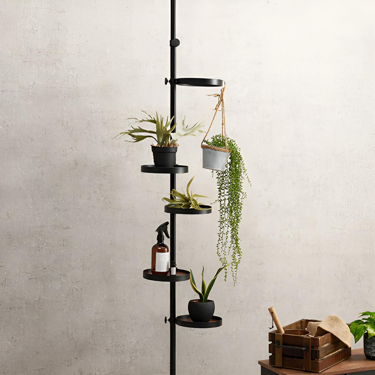 [美品/匿名配送]高さ調整可能なオシャレな黒の突っ張り棒 丸い木製の棚2個付 HAGiHARA（萩原） 突っ張りポールラック 丸型トレイ5個 高さ調整