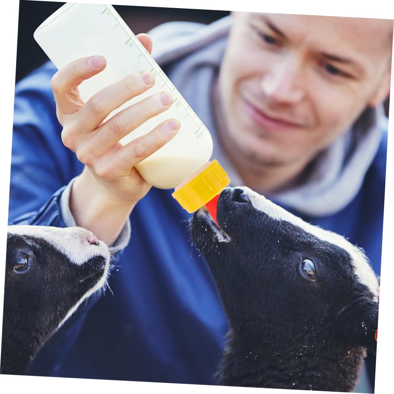 Biberon per Agnelli e Capre 400ml in Pvc, Set 1 con Tettarelle | Anti Perdita, Design del Succhietto Unico, Ricambi Inclusi, Uso in Fattoria e Casa, per Allattamento Animale