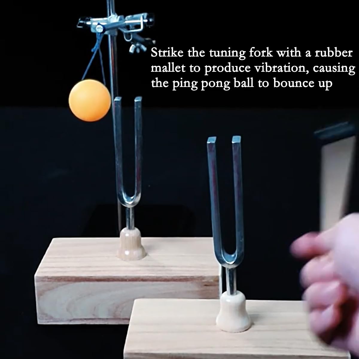 2-pcs Legierung Stimmgabel 440HZ Virbration Resonanz Stimmgabel experimentelles Kit mit Stimmgabel Klopfer und hölzerner Resonanz Box 18 cm*9.2 cm*5.4 cm (440HZ KITs)