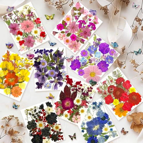 Image of 303Pcs Dried Pressed Flowers for Crafts, Dried Pressed Flowers for Resin, Natural Dried Flowers Kit with 80pcs Butterfly Stickers for DIY Resin Molds, Candles, Photo Frames, Jewelry Making, Art Crafts