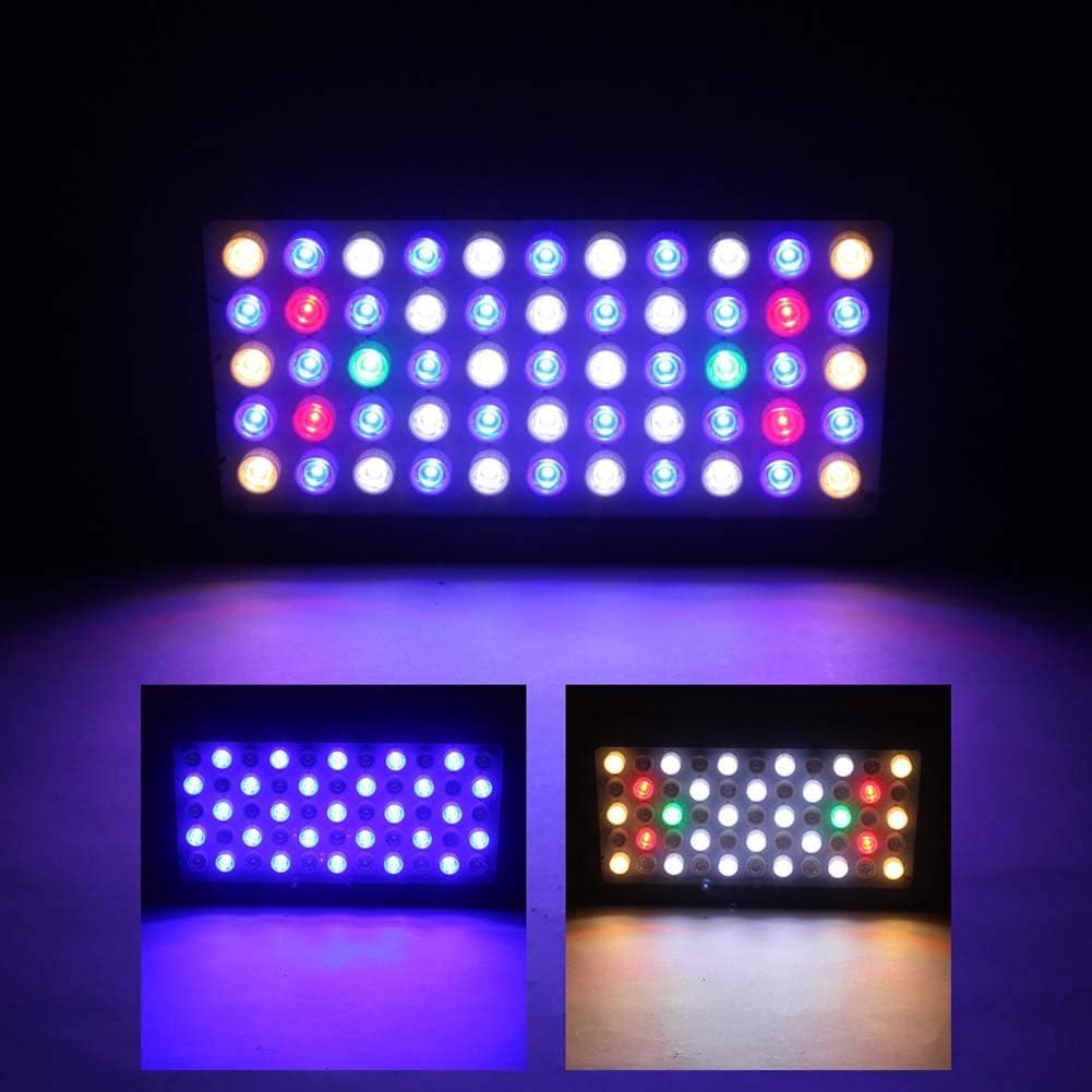 Luz De Acuario Led De 165 W, Luz De Coral Led Regulable De Espectro Completo con Cadena De Margaritas, para Arrecife De Agua Salada Iluminación De Acuario Blanco Azul Tanque De Arrecife Mar