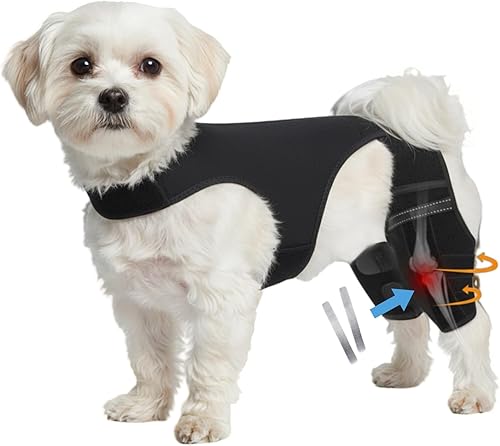 S - Rodillera doble para perro para desgarro del ligamento cruzado anterior y CCL - Tirantes ajustables para patas traseras para perros pequeños con