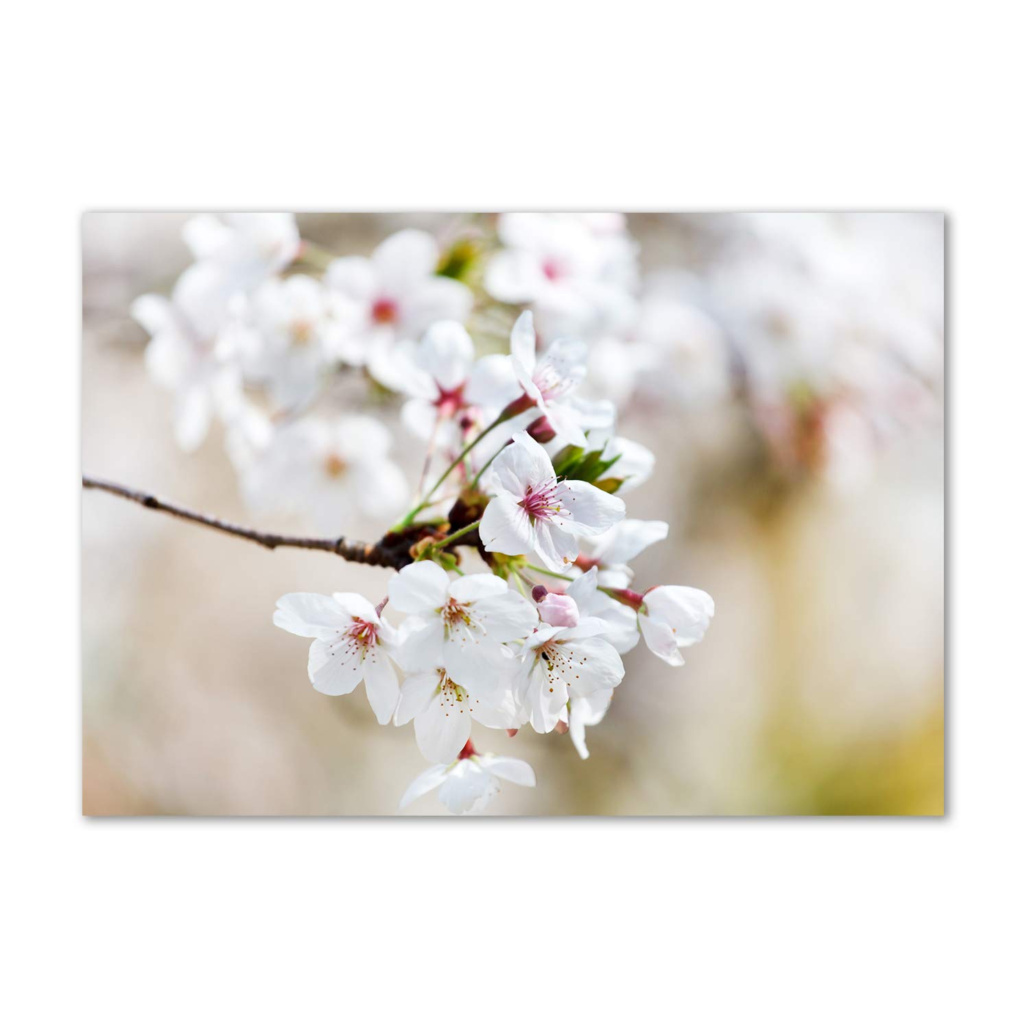Art image verre plastique Flores de cerezo au rendu brillant haut de gamme