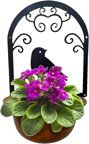 Lily's Home Maceta de pared para interiores y exteriores, maceta suculenta con motivo de pájaro. Planta no incluida.