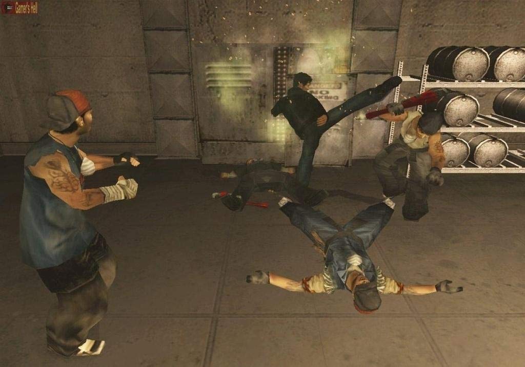 Rise To Honor - PlayStation 2 (Renewed)