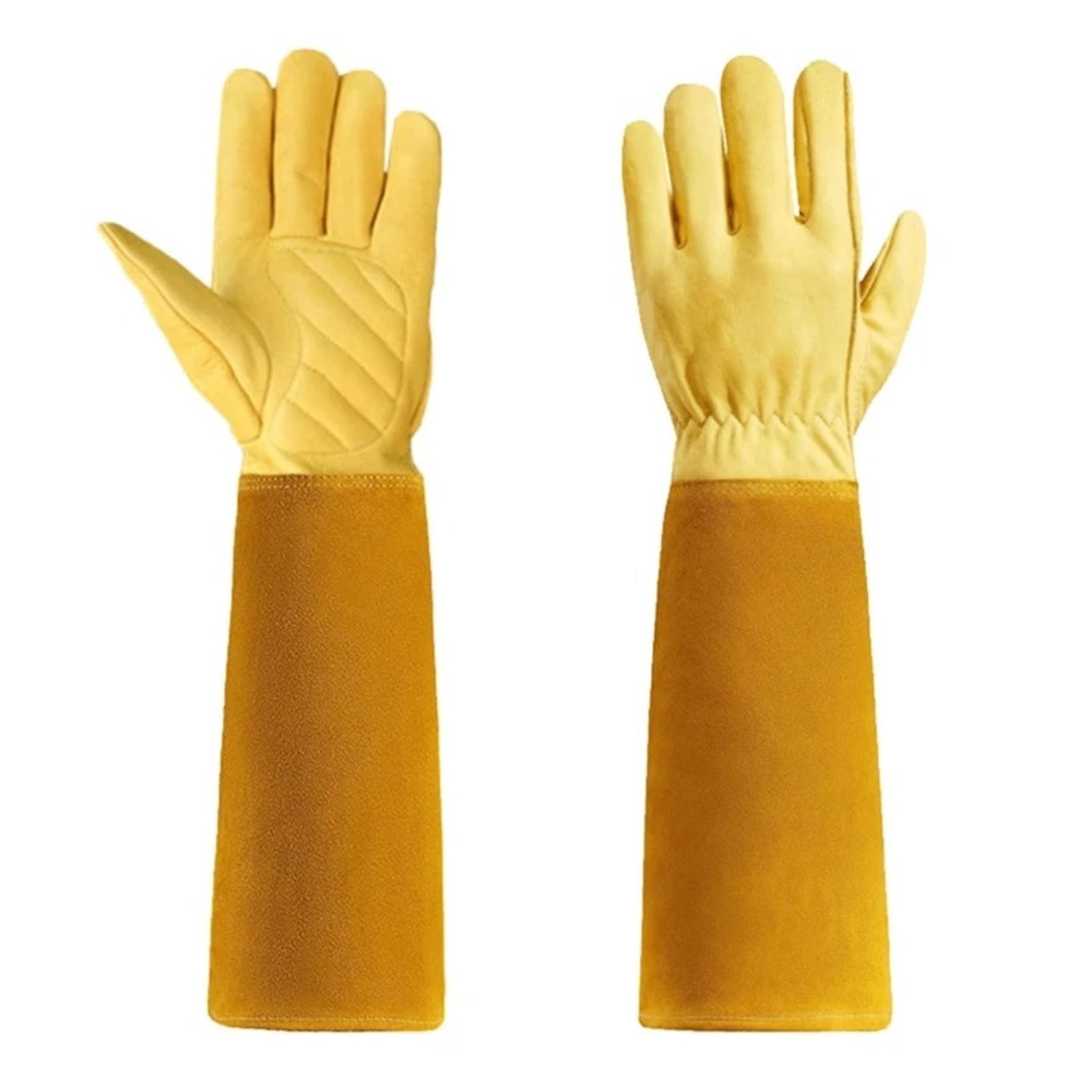 Gants de jardinage for la taille des rosiers, cuir de chèvre jaune, plusieurs tailles(Small)