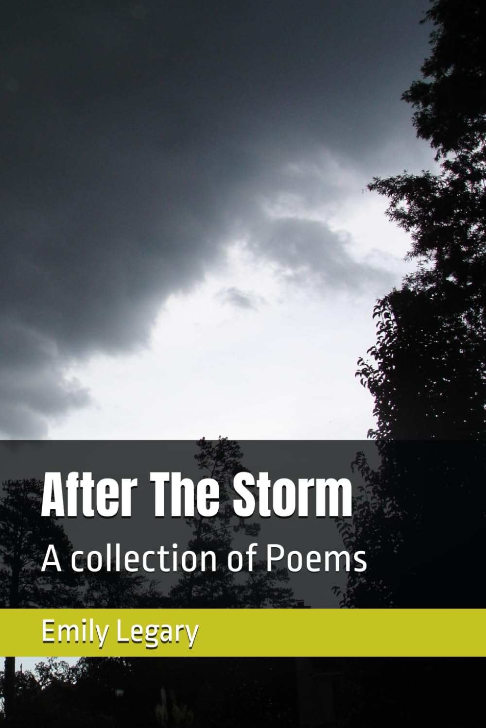 After The Storm: A collection of Poems