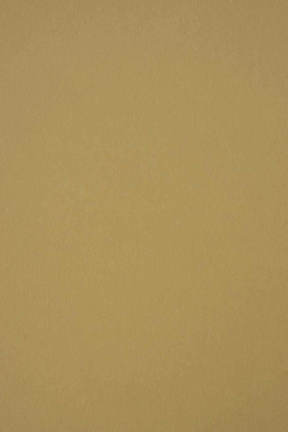 Netuno 100x Caramel A4 210x297 mm (8.27x11.7 Inches) 250gsm Materica Kraft Recycled Cardboard - Ecological Cardstock for Tickets, Place Cards - Natural, Eco-Friendly Colored Card