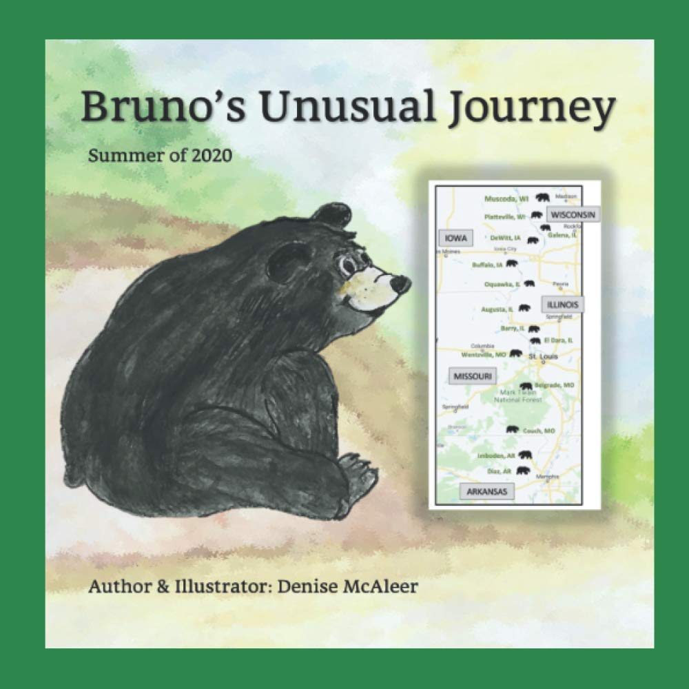 Bruno's Unusual Journey