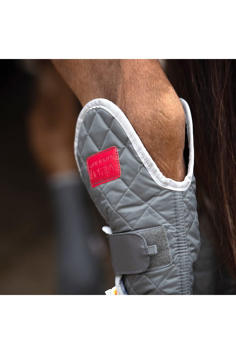 Equilibrium - Vendas para Caballos Hind & Hock Diseño Magnético (XL) (Gris)