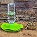 NUZAMAS Automatic Reptile Feeder Tortoises Dispenser with Bottle Reptile Water Dispenser Water Bowl Feeding Dish Feeding Accessories for Lizards Green