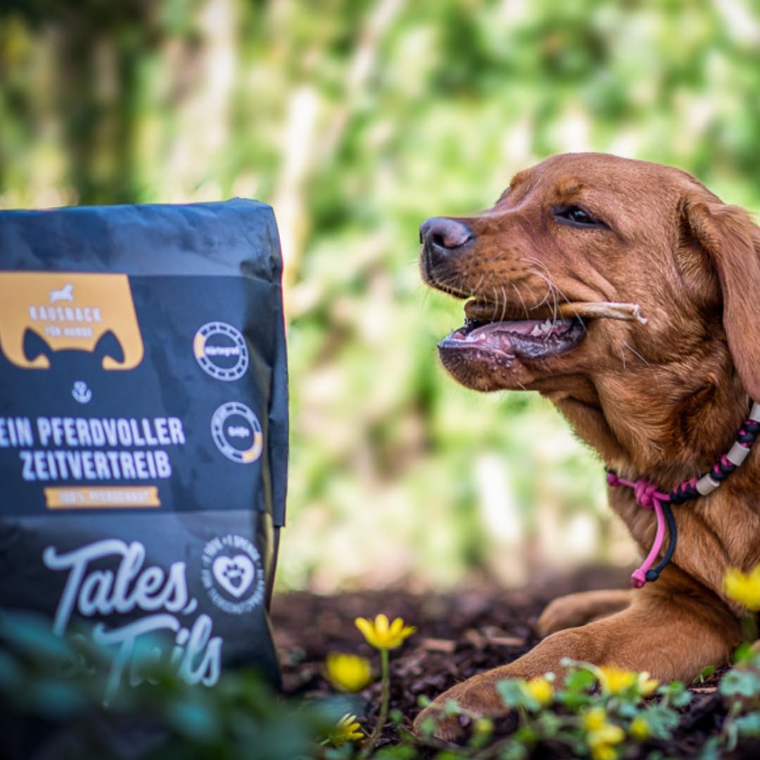 Tales&Tails - EIN PferdVoller Zeitvertreib - 100% Pferdehaut - Kauartikel für Hunde - 500g