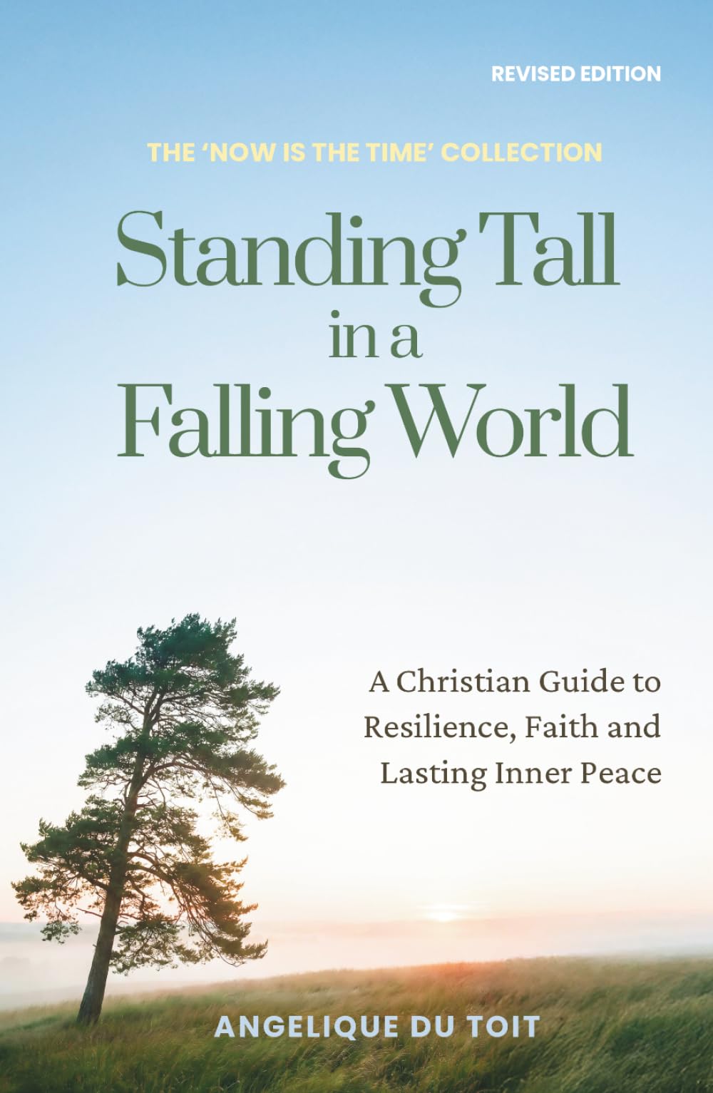 Standing Tall in a Falling World: A Christian Guide to Resilience, Faith and Lasting Inner Peace