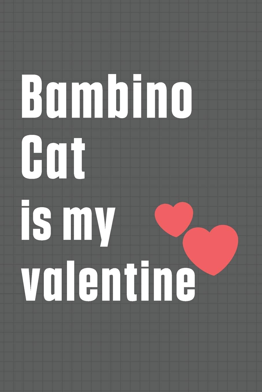 Bambino Cat is my valentine: For Bambino Cat Fans