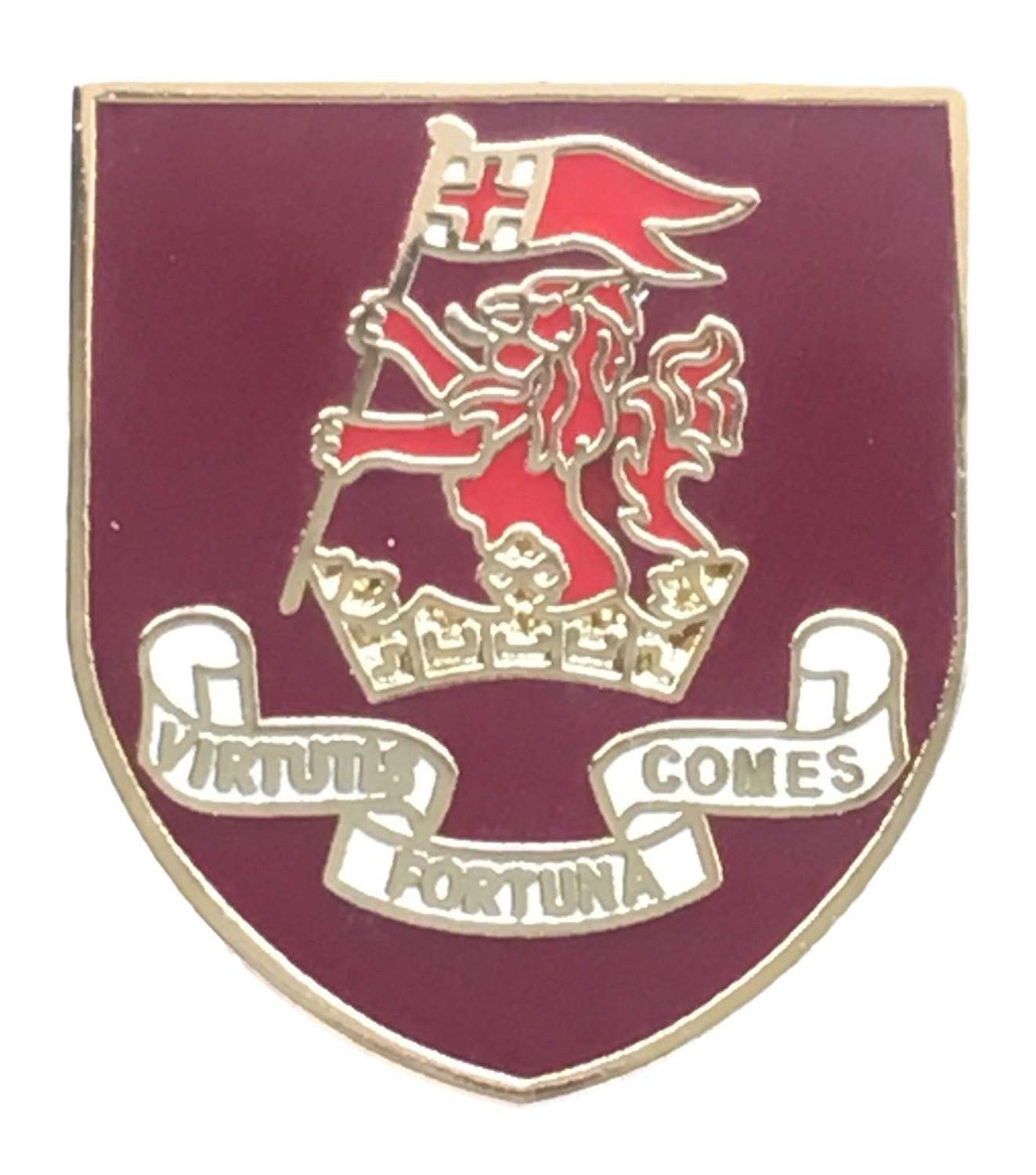 DUKE OF WELLINGTON MILITARY ENAMEL LAPEL PIN BADGE