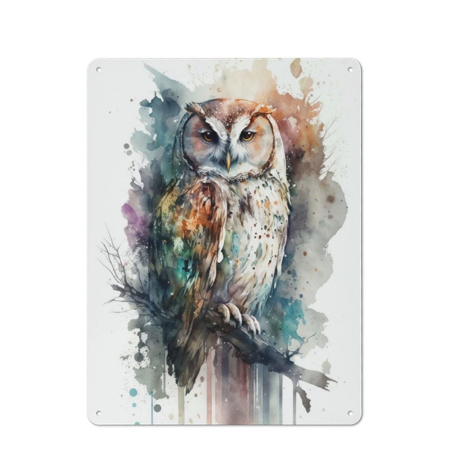 Junmoney Bird Owl Watercolor Rustic Country Metal Sign 40X30cm, Cottage Wall Art For Dining Room, Cafe, Entryway Or Family Room